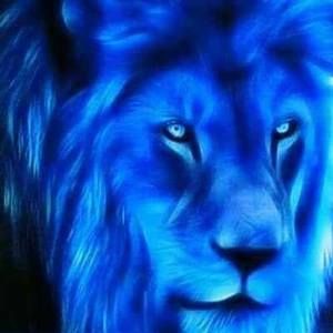 Meet your Posher, Crow